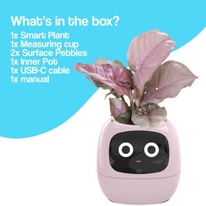 AI GrowBuddy Smart Plant Care System Ivy with expressive face and sensors for interactive plant care and STEM learning