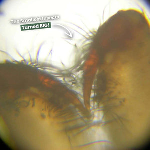 My First STEM & Explore Set – For BORED 6-Year-Olds