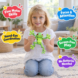Poseable Magnetic Frog – activity toy
