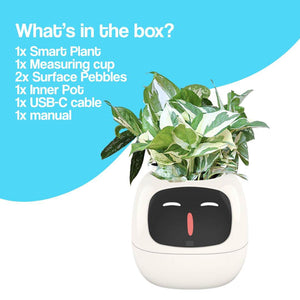 Meet Ivy - AI GrowBuddy Smart Plant Care System