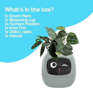 Meet Ivy - AI GrowBuddy Smart Plant Care System