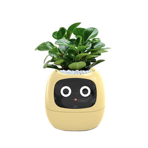 Meet Ivy - AI GrowBuddy Smart Plant Care System