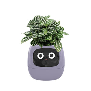 Meet Ivy - AI GrowBuddy Smart Plant Care System