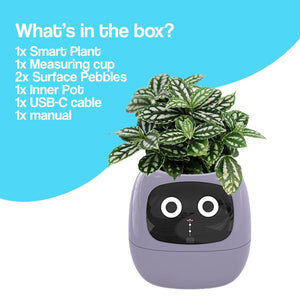 Meet Ivy - AI GrowBuddy Smart Plant Care System