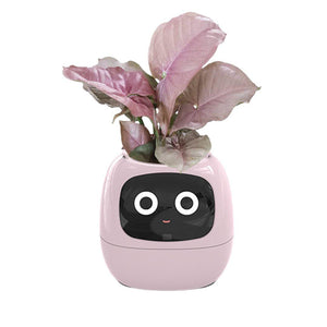Meet Ivy - AI GrowBuddy Smart Plant Care System