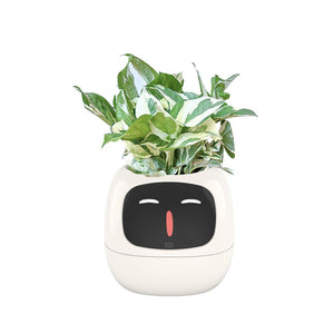 Meet Ivy - AI GrowBuddy Smart Plant Care System