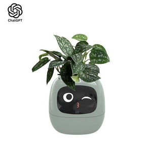 Meet Ivy - AI Powered GrowBuddy Smart Plant Care System