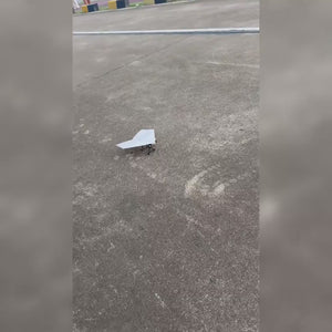 RC Paper Airplane